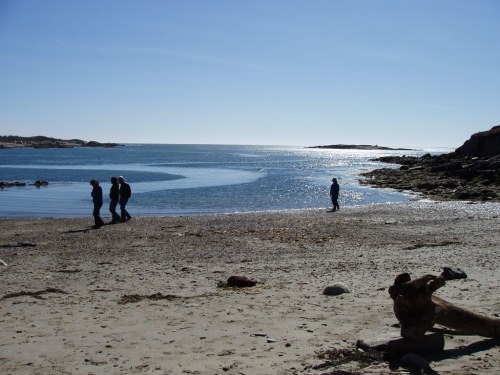 Silhouettes of people walking along a sandy beach with calm water and a clear blue sky in the background.