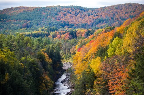 A scenic view of a river winding through vibrant autumn foliage in a mountainous landscape.