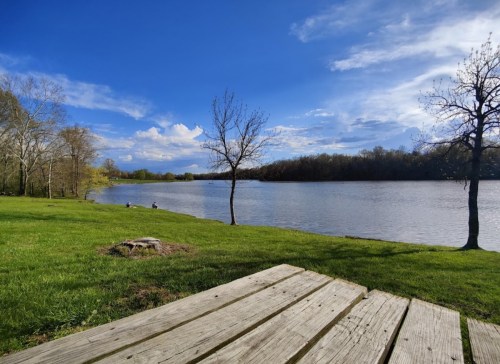 A serene riverside scene with green grass, trees, and a clear blue sky reflecting on the water.