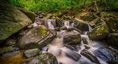 A serene stream flows over smooth rocks, surrounded by lush green foliage in a tranquil forest setting.