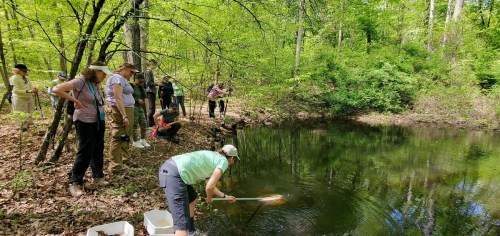 A group of people gathers by a pond, some observing while others scoop water with nets in a lush, green forest.