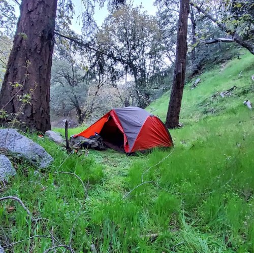 A red and gray tent set up in a lush green forest clearing surrounded by trees and rocks.