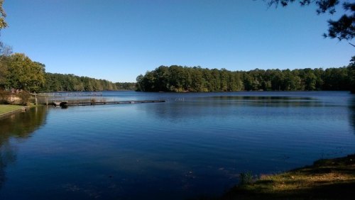A serene lake surrounded by trees under a clear blue sky, with a small dock extending into the water.