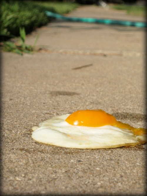 A cracked egg with a bright yellow yolk is spread out on a concrete sidewalk, surrounded by grass.