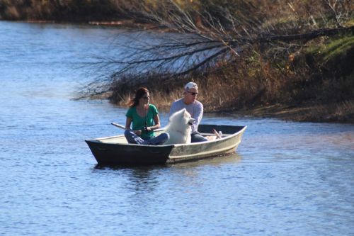 A woman and a man sit in a small boat on a calm river, accompanied by a fluffy white dog.