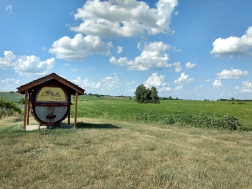 A wooden wine barrel stands in a grassy field under a blue sky with fluffy clouds, surrounded by lush greenery.