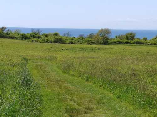 A grassy path leads through a field towards a calm blue ocean under a clear sky.