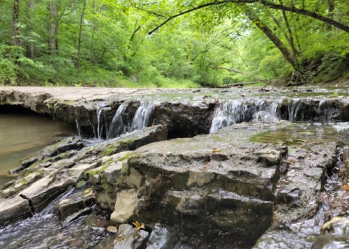 A serene stream flows over rocky terrain, surrounded by lush green trees and foliage.