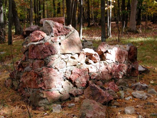 Ruins of a stone structure surrounded by trees and fallen leaves in a forested area.