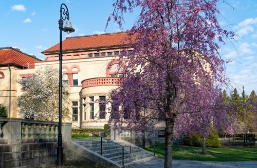 A blooming purple tree in front of a historic building with a red roof and decorative architecture.