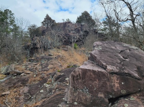 Rocky landscape with large boulders, sparse trees, and a cloudy sky in the background.