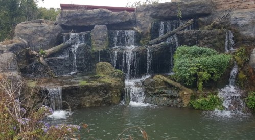 A serene waterfall cascading over rocks into a calm pool, surrounded by greenery and wildflowers.