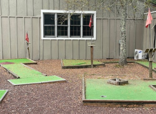 A mini-golf course with green turf and red flags, set against a wooden building and surrounded by fallen leaves.