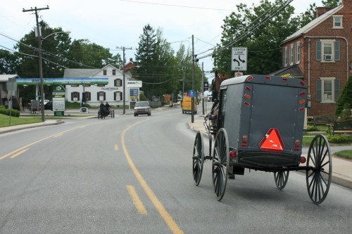 An Amish horse-drawn buggy travels down a rural road, with buildings and power lines in the background.
