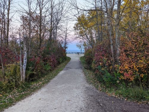 A serene path through trees with autumn foliage, leading to a view of the water and a distant bench.