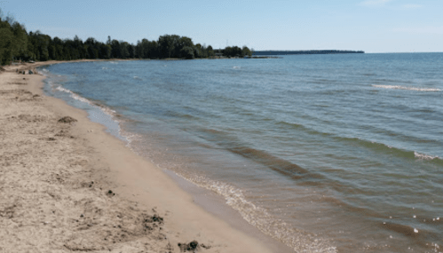 A serene beach scene with gentle waves, sandy shore, and trees lining the coastline under a clear blue sky.