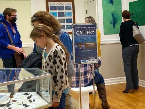 A museum gallery opening with visitors exploring exhibits and a sign for Wayne Davis' featured gallery.