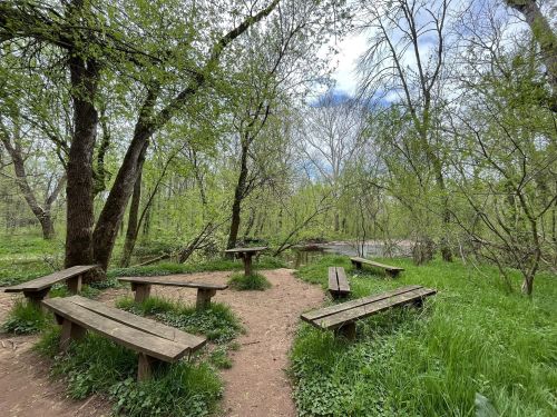 A serene outdoor area with wooden picnic tables surrounded by lush green trees and a calm stream in the background.
