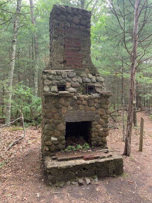 A weathered stone chimney stands in a forest, surrounded by trees and fallen leaves, with greenery growing inside.