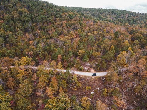 Aerial view of a winding road through a forest with autumn foliage and a single vehicle on the path.
