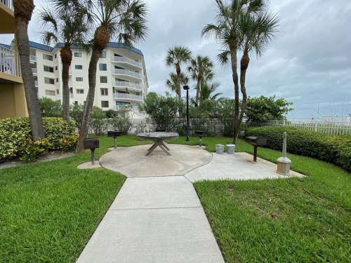 A grassy area with a circular concrete patio, picnic table, and grills, surrounded by palm trees and a building in the background.