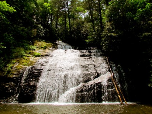 A serene waterfall cascading over rocky terrain, surrounded by lush green trees and foliage.