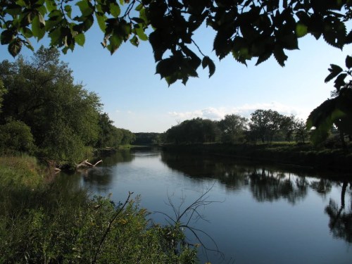 A serene river scene framed by lush green trees under a clear blue sky.