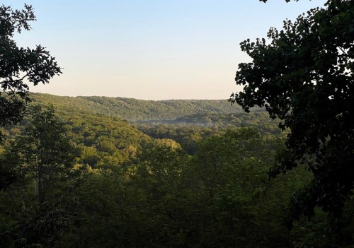 A serene landscape of rolling green hills under a clear sky, framed by trees in the foreground.