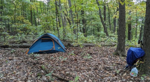 A blue tent set up in a forest clearing surrounded by trees and fallen leaves. A backpack hangs nearby.