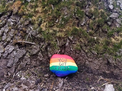 A colorful rock painted in rainbow stripes with the words "YOU GOT THIS" against a mossy tree trunk.