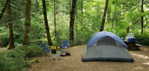 A campsite in a forest with a tent, two folding chairs, a cooler, and a picnic table surrounded by trees.