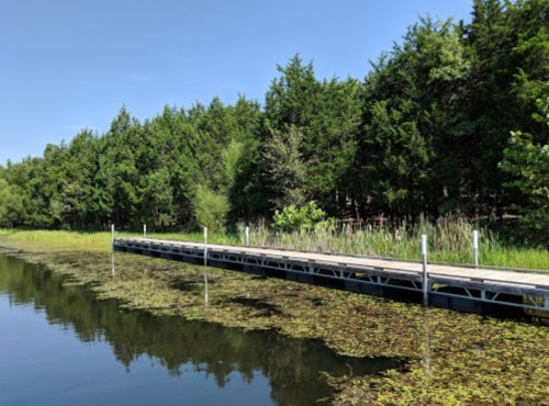 A wooden dock extends into a calm waterway, surrounded by lush green trees and aquatic plants.