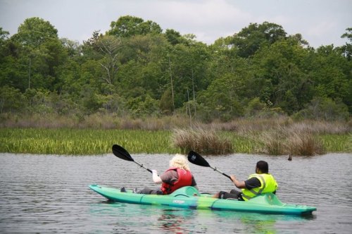 Two people kayaking on a calm lake surrounded by lush greenery and tall grasses.
