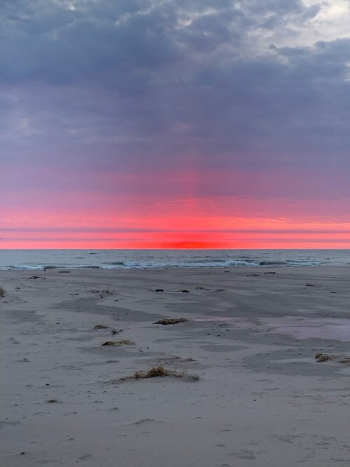A serene beach at sunset, with vibrant pink and purple hues reflecting on the water and soft waves lapping at the shore.