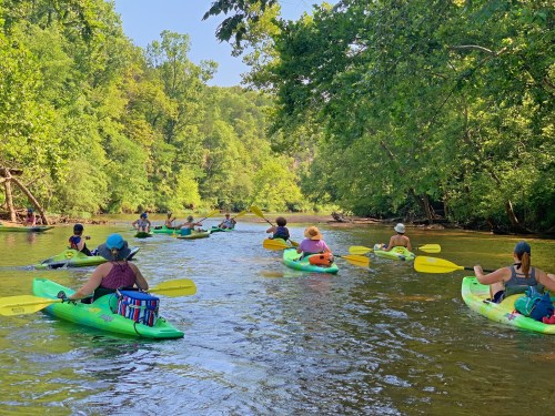 A group of people kayaking on a serene river surrounded by lush green trees on a sunny day.