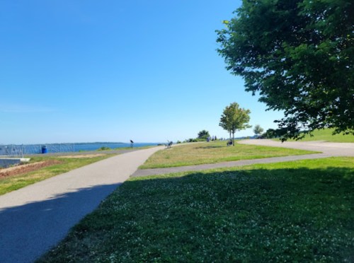 A sunny park path curves through green grass, with trees and a view of the water in the distance.
