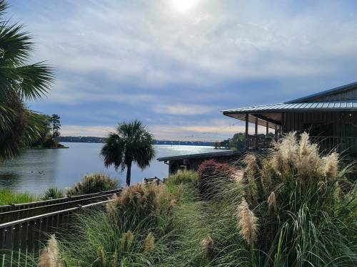 A serene lakeside view with palm trees, tall grasses, and a building under a cloudy sky. Sunlight reflects on the water.