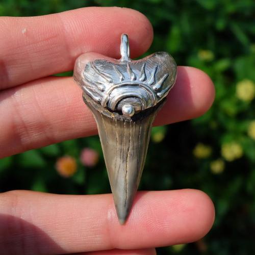 A hand holding a silver pendant shaped like a shark tooth with a sun design on top, set against a blurred green background.