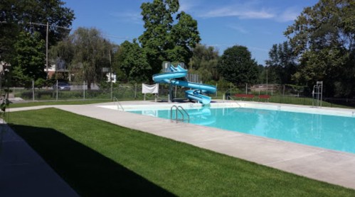 A clear swimming pool with a blue water slide, surrounded by green grass and trees under a sunny sky.