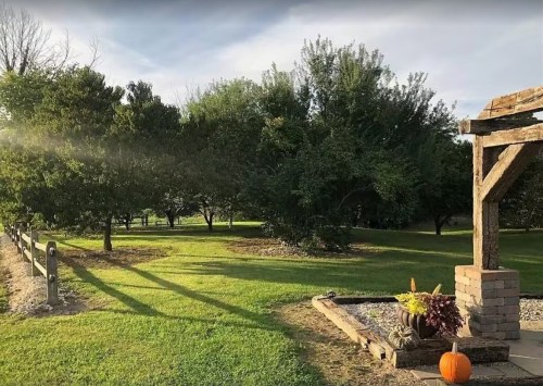 A serene outdoor scene with trees, a stone structure, and a small pumpkin on the ground, bathed in soft sunlight.
