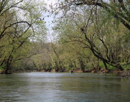 A serene river scene with lush green trees lining the banks and kayakers paddling in the calm water.
