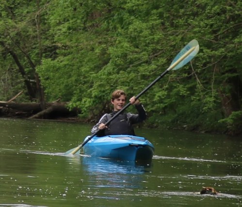A person in a blue kayak paddles on a calm river surrounded by lush green trees.