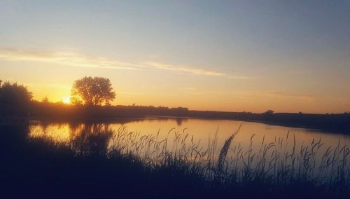 Sunset over a calm pond, with silhouettes of trees and tall grass in the foreground against a colorful sky.