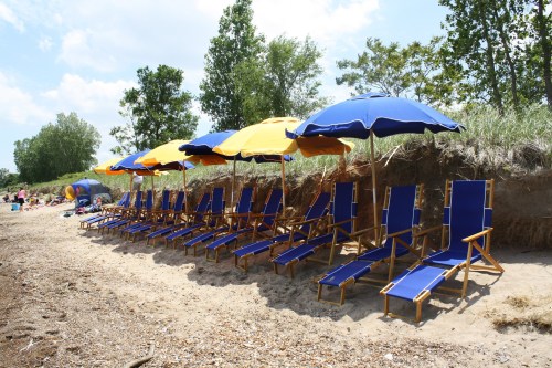 A row of blue beach chairs under yellow and blue umbrellas on a sandy shore, surrounded by greenery.