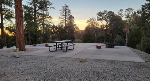 A picnic area with a table and fire pit, surrounded by trees at sunset. Gravel ground and a clear sky in the background.