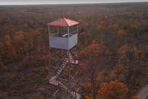 A tall wooden fire tower with a red roof stands amidst a forest of autumn-colored trees.