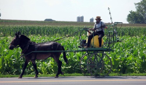 A man in a straw hat drives a horse-drawn cart through a green field, with silos visible in the background.