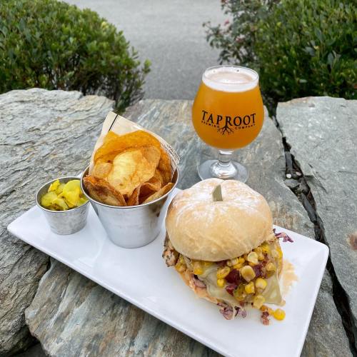 A plate with a sandwich, chips in a cup, and a glass of beer on a stone surface, surrounded by greenery.
