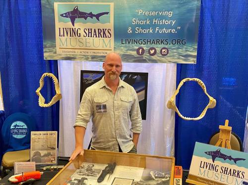 A man stands at a booth for the Living Sharks Museum, showcasing shark artifacts and educational materials.