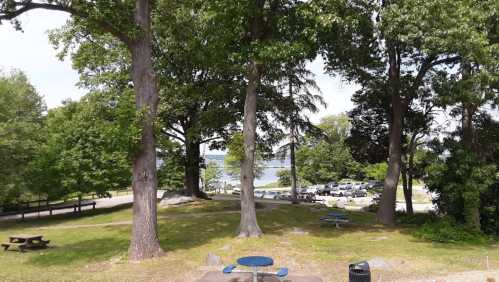 A park scene with large trees, picnic tables, and a view of a lake in the background, with cars parked nearby.